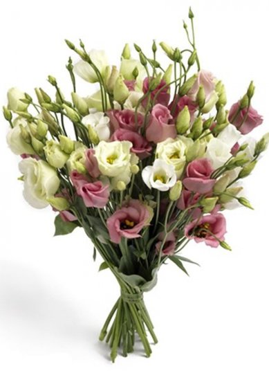 Букет З8276 - Салон цветов ЗЛАТА